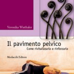 il_pavimento_pelvico.jpg