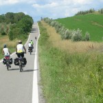 bicitalia