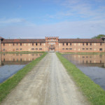 Risaia-allagata-Tenuta-Colombara-150×150