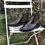 scholl 1