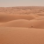 deserto