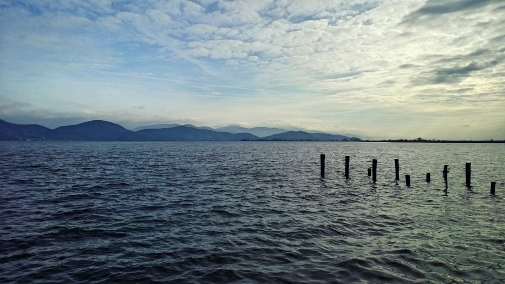 torre del lago 2