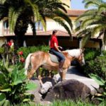 horse-country-sardegna