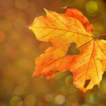 autunno dorato