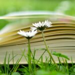libri