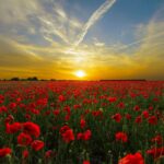 tramonto