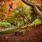 Foto Giardini di Castel Trauttmansdorff