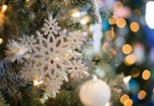 SOTTO L’ALBERO: IL FASCINO INTRAMONTABILE DEI TACCUINI, CON UN TOCCO DI ELEGANZA