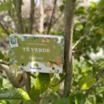 valverbe-te-verde