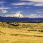 oregon art 3