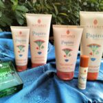 papiro-assoluto