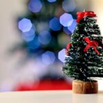libri sotto l’albero