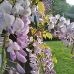 Giardini-di-Castel-Trauttmansdorff-1