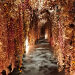 FLOWERS-