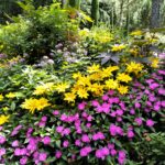 Giardini di Castel Trauttmansdorff 2