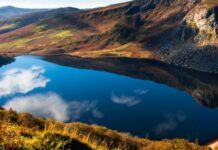 HOUSE OF GUINNESS: VIAGGIO NELLE RADICI DI UN’ICONA IRLANDESE