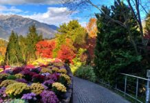 DOVE IL VERDE SI FA ORO: UNA PASSEGGIATA D’AUTUNNO AI GIARDINI DI CASTEL TRAUTTMANSDORFF