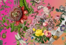 AL CHIOSTRO DEL BRAMANTE LA NATURA CI INSEGNA A RALLENTARE