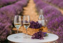 UNA GIORNATA PERFETTA TRA LAVANDA, PANE CALDO E VINO ROSÉ