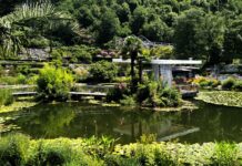 TRAUTTMANSDORFF IN TRE GIORNI / 1