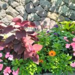 giardini di sissi merano 2