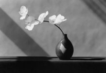 ROBERT MAPPLETHORPE A ROMA: LA BELLEZZA È UNA FORMA ESATTA